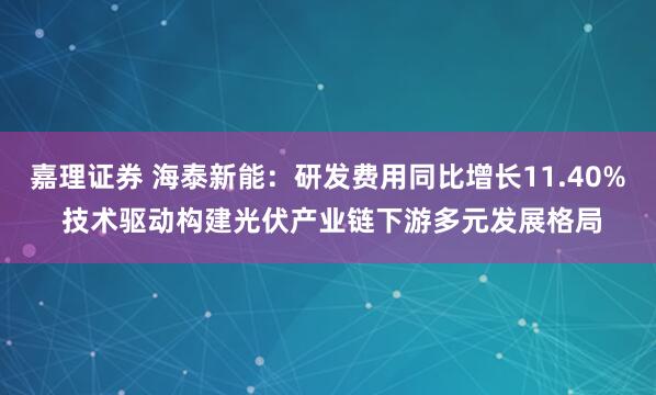 嘉理证券 海泰新能：研发费用同比增长11.40% 技术驱动构建光伏产业链下游多元发展格局