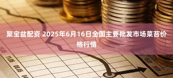 聚宝盆配资 2025年6月16日全国主要批发市场菜苔价格行情